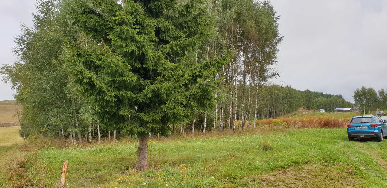 Działka rolno-budowlana Romany. Zdjęcie 1