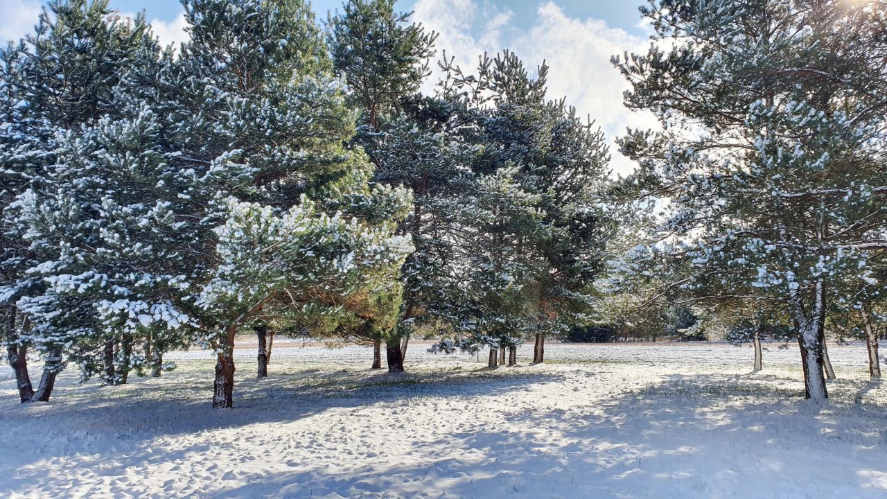 dom wolnostojący, 3 pokoje Skarbka Bidzińszczyzna, Bidizńszczyzna. Zdjęcie 17