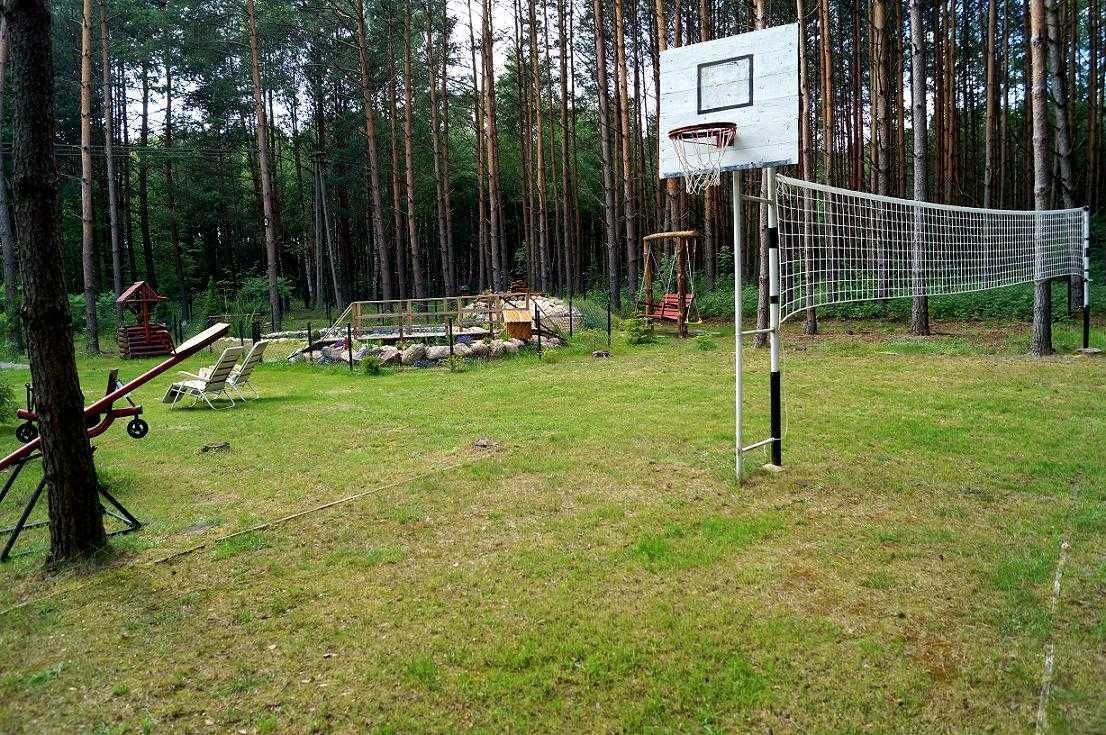 Działka rekreacyjna Poświętne. Zdjęcie 5