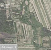 Działka rolna Sokołówka. Zdjęcie 2