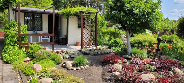 Działka rod Zielona Góra, ul. Nowa. Zdjęcie 1