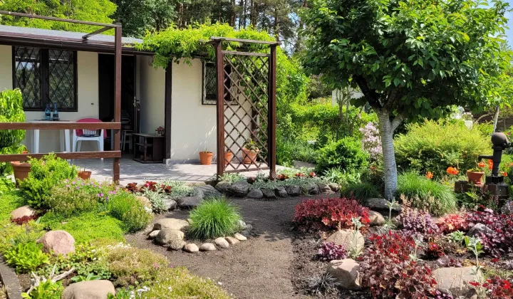 Działka rod Zielona Góra, ul. Nowa