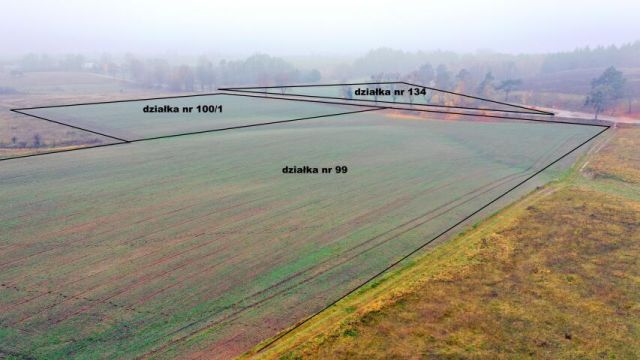 Działka rolna Dziubiele. Zdjęcie 1