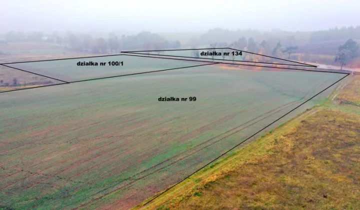 Działka rolna Dziubiele
