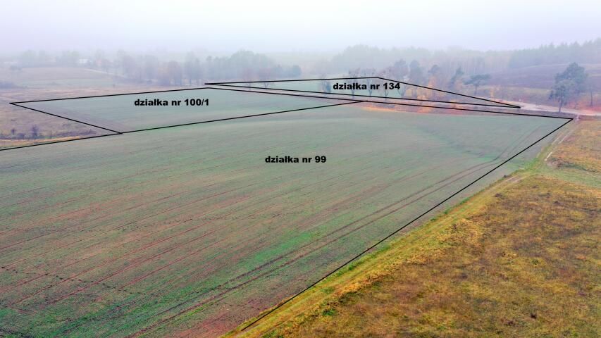 Działka rolna Dziubiele. Zdjęcie 1