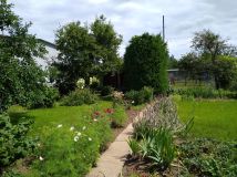 Działka rod Gdańsk Olszynka, ul. Łanowa. Zdjęcie 1