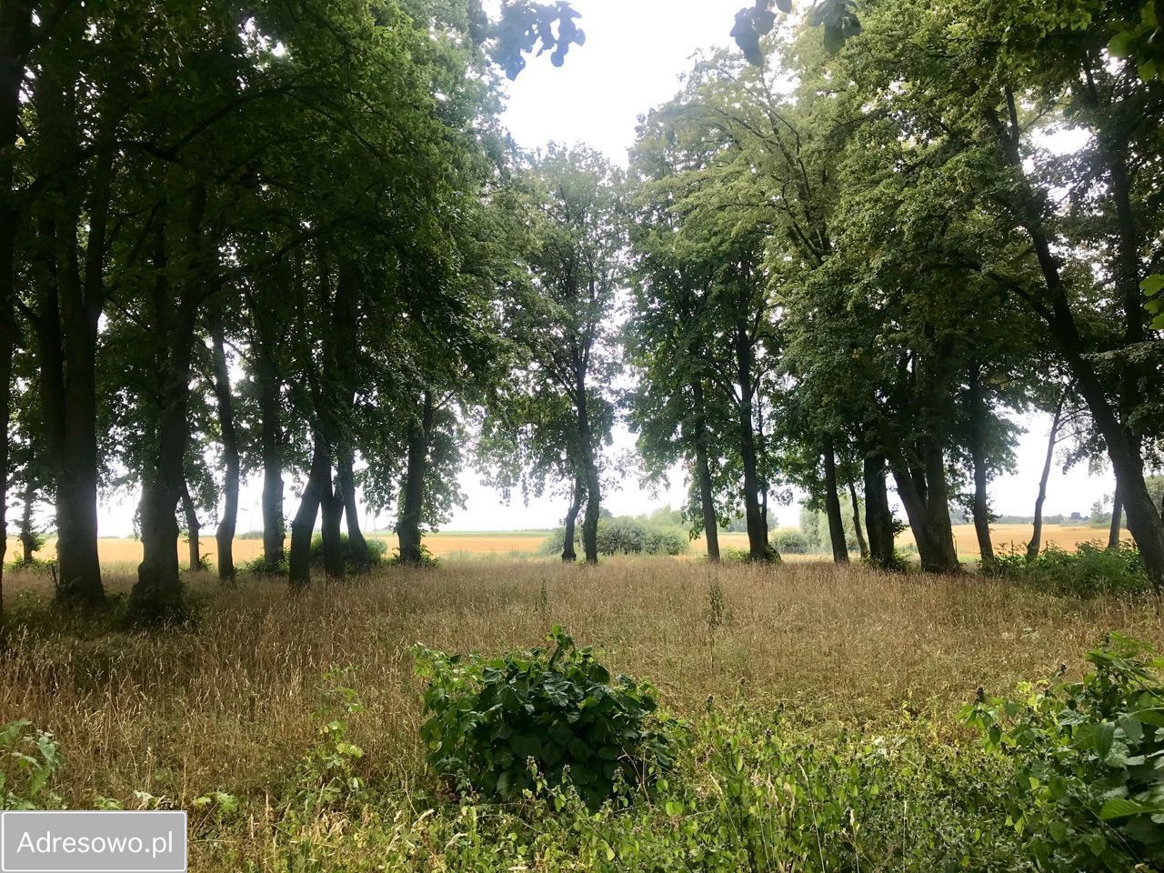 Nieruchomość komercyjna Wieldządz. Zdjęcie 10