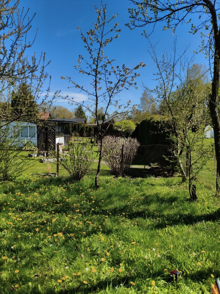 Działka rod Wolbrom, ul. Miechowska. Zdjęcie 6