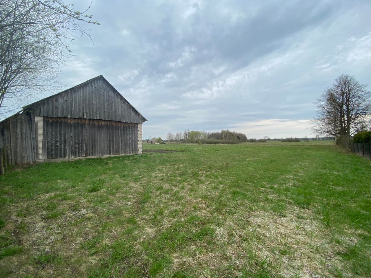 Działka siedliskowa Orzeszkowo Olszyna. Zdjęcie 4