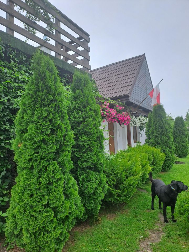 dom wolnostojący, 4 pokoje Konary. Zdjęcie 5