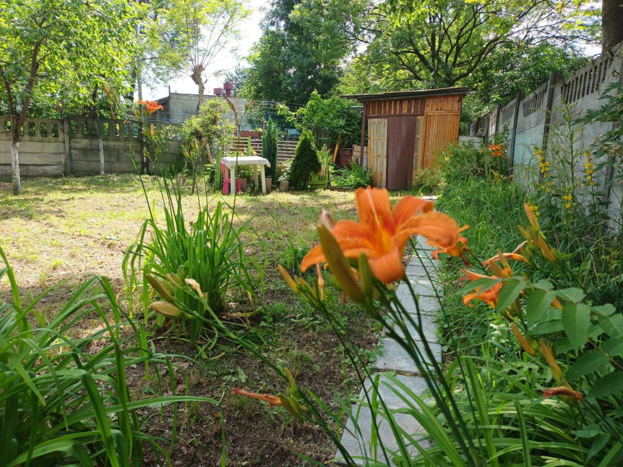 Działka rod Siemianowice Śląskie Bytków. Zdjęcie 2