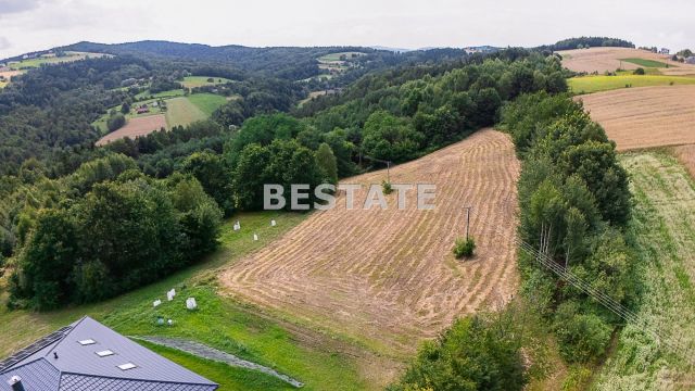 Działka budowlana Paleśnica. Zdjęcie 4