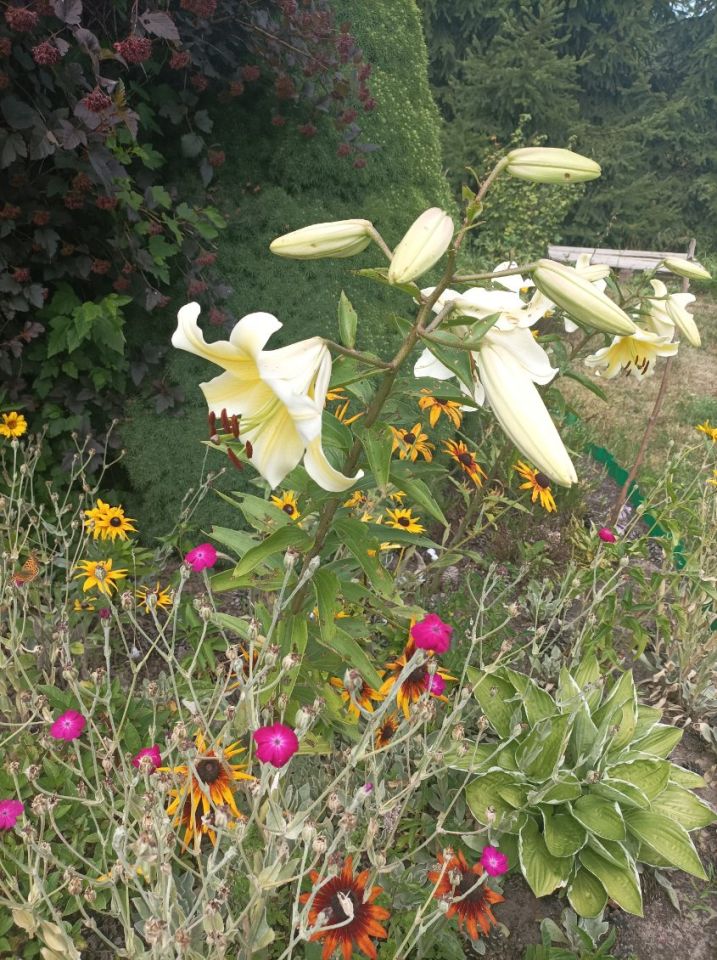 Działka rod Władysławów. Zdjęcie 10