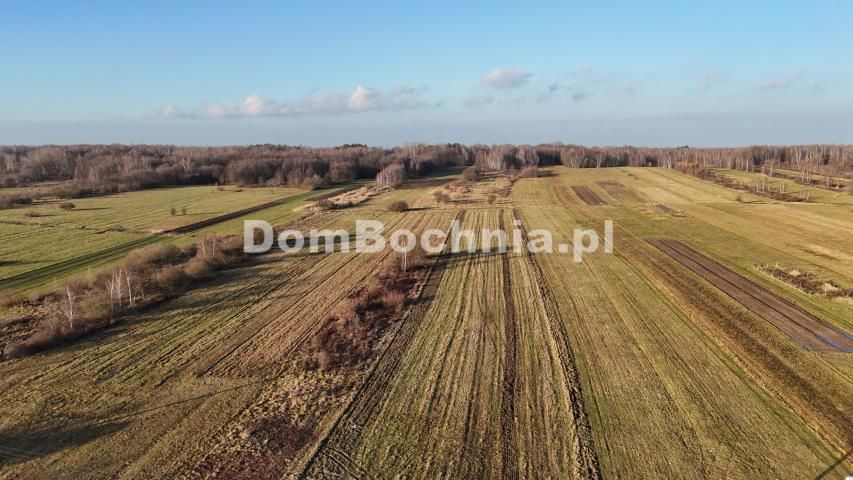 Działka budowlana Jodłówka. Zdjęcie 6