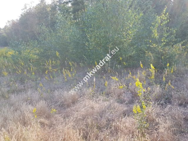 Działka budowlana Kosów. Zdjęcie 6