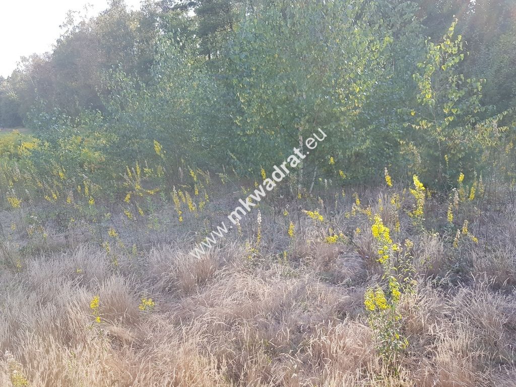 Działka budowlana Kosów. Zdjęcie 6