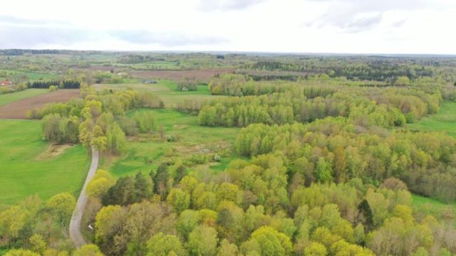 Działka rolna Langanki. Zdjęcie 8