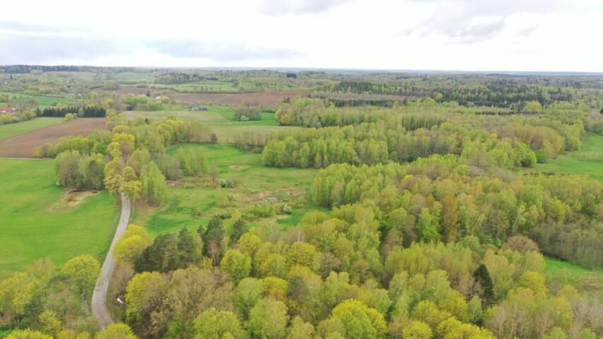 Działka rolna Langanki. Zdjęcie 8