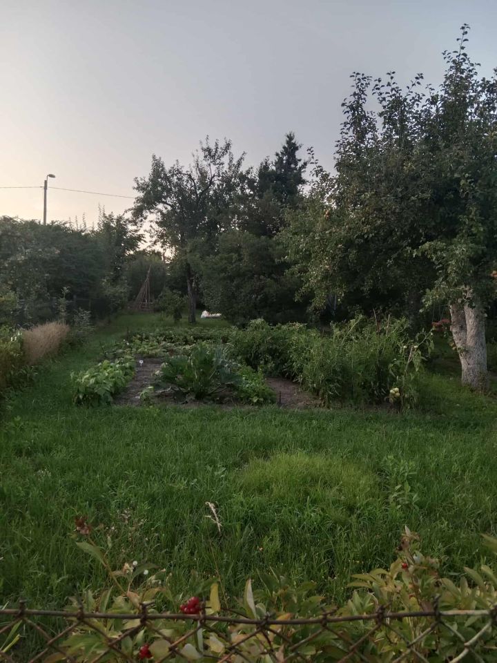 Działka rod Gdańsk Chełm, ul. Zamiejska. Zdjęcie 20