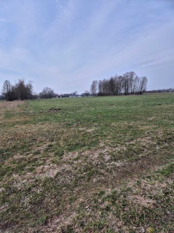 Działka rolna Borki. Zdjęcie 1