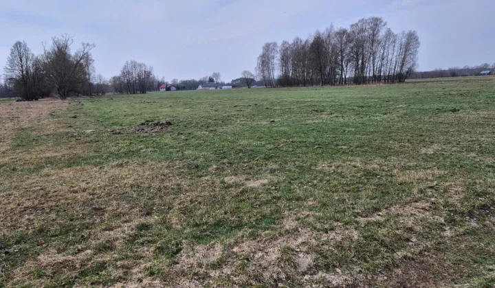 Działka rolna Borki