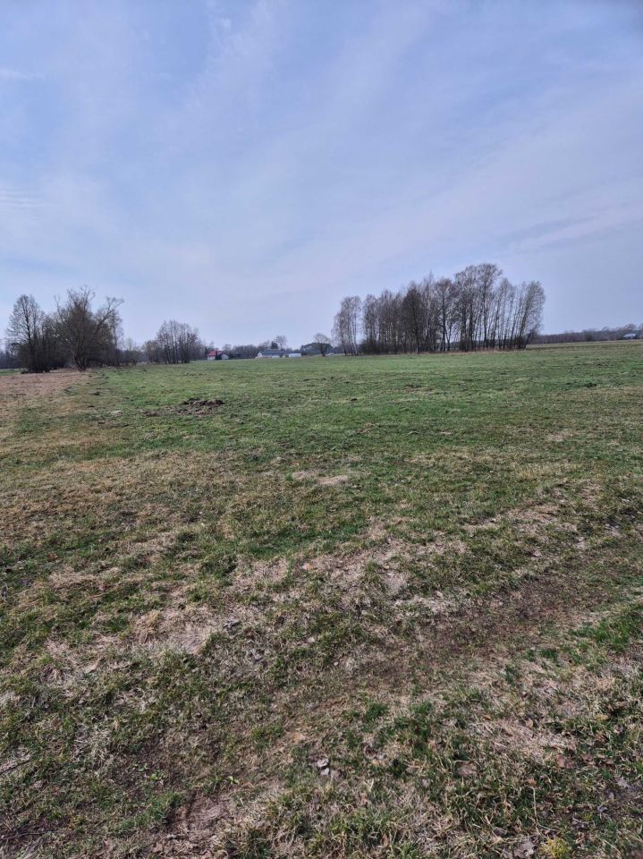 Działka rolna Borki. Zdjęcie 1