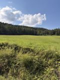 Działka rolno-budowlana Florynka. Zdjęcie 4
