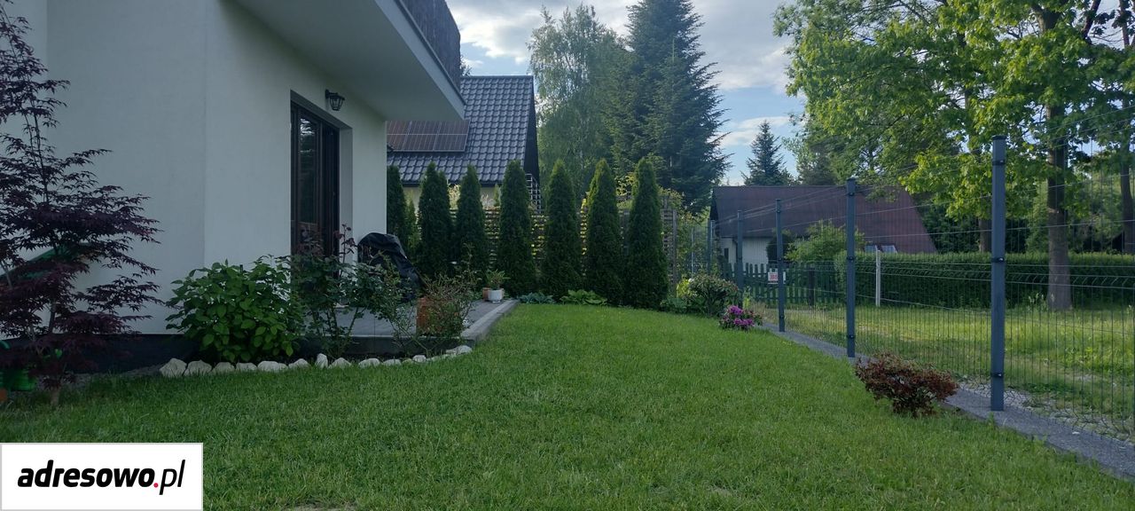 Zdjęcie 2