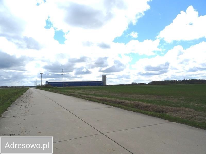 Hala/magazyn Gronowo. Zdjęcie 11