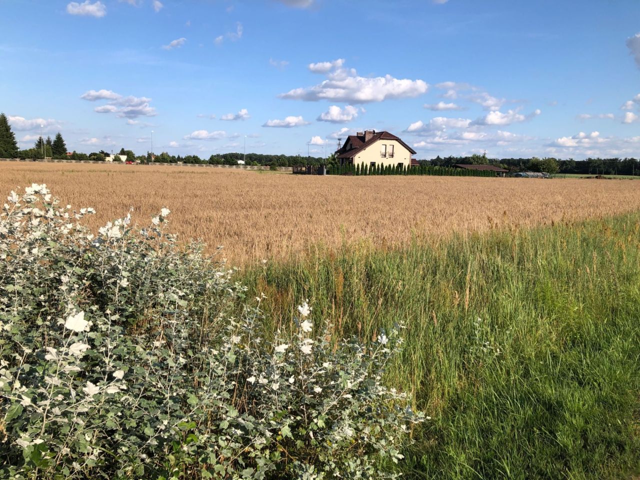 Działka budowlana Racot. Zdjęcie 2