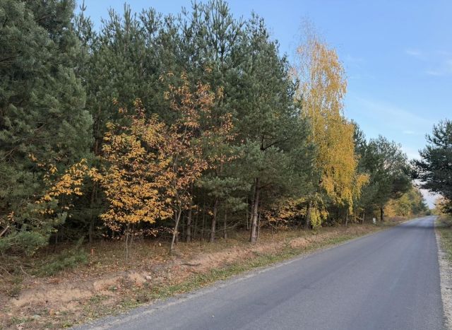 Działka budowlana Bartoszówka, ul. Pogodna. Zdjęcie 1