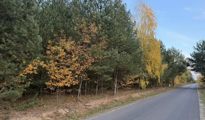 Działka budowlana Bartoszówka, ul. Pogodna