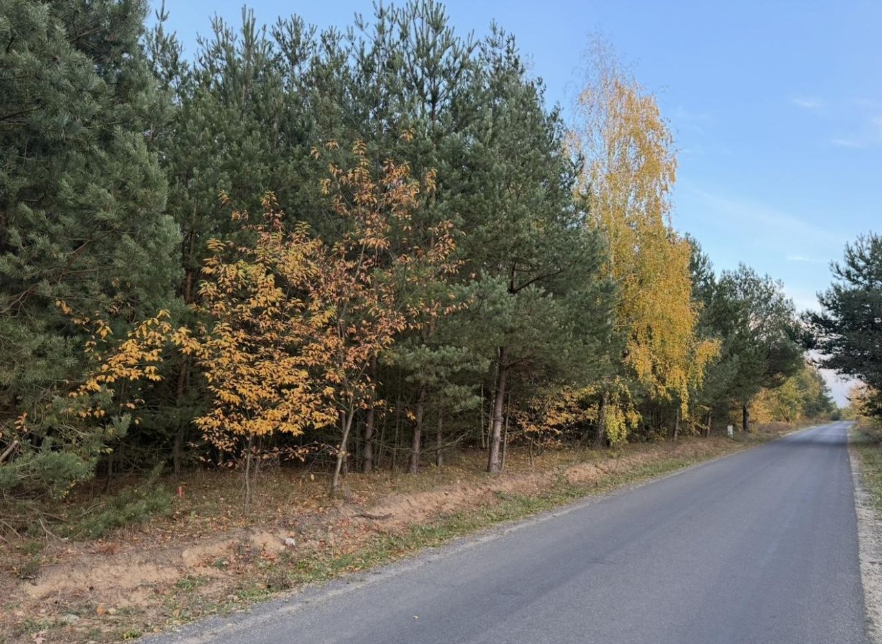 Działka budowlana Bartoszówka, ul. Pogodna