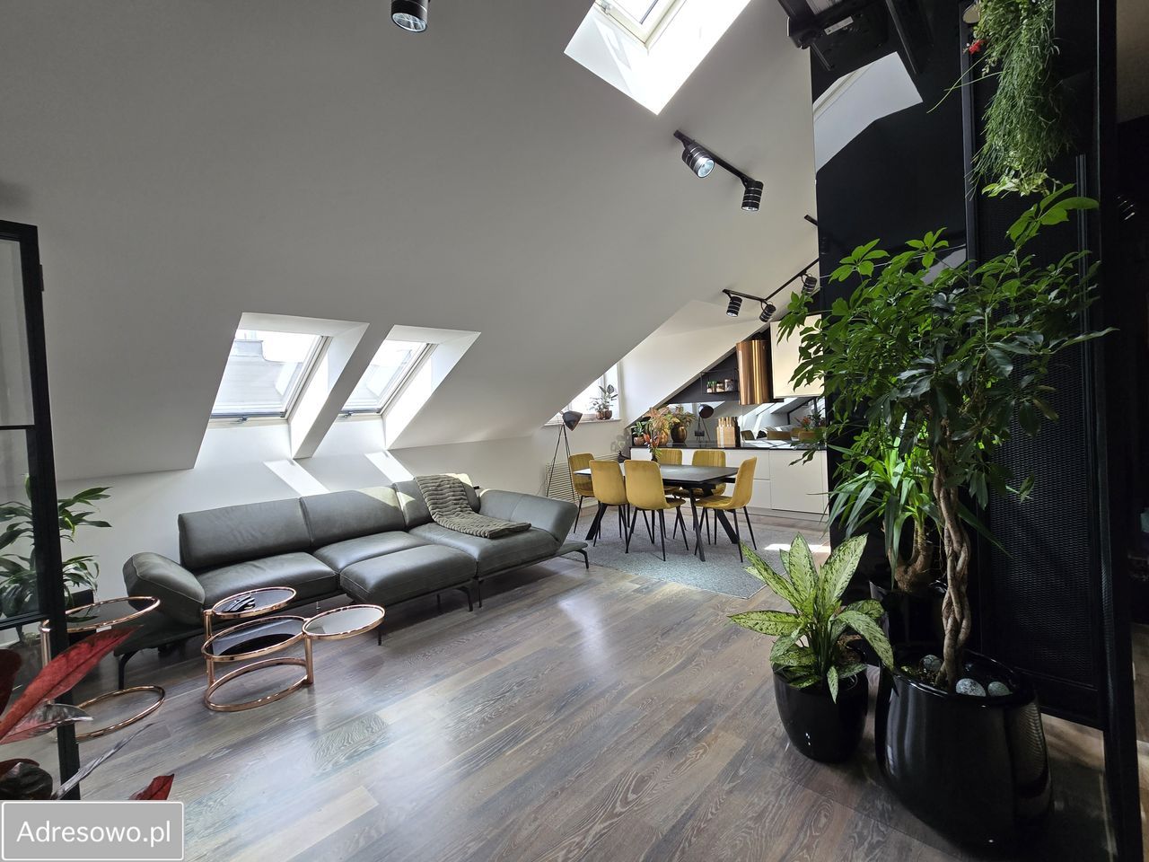 Mieszkanie 3-pokojowe Kielce Centrum. Zdjęcie 7