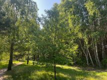 Działka budowlana Aleksandrów Łódzki, ul. Torfowa. Zdjęcie 2