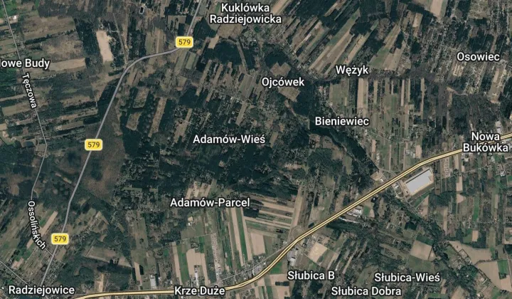 Działka budowlana Adamów-Wieś, ul. Olszowa