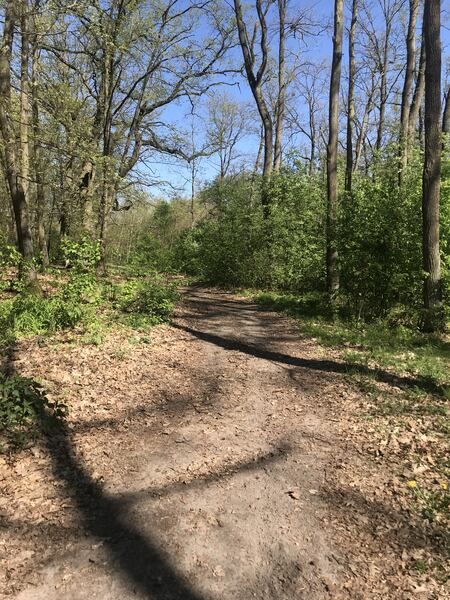 Działka budowlana Kruszyn, ul. Jagodowa. Zdjęcie 4