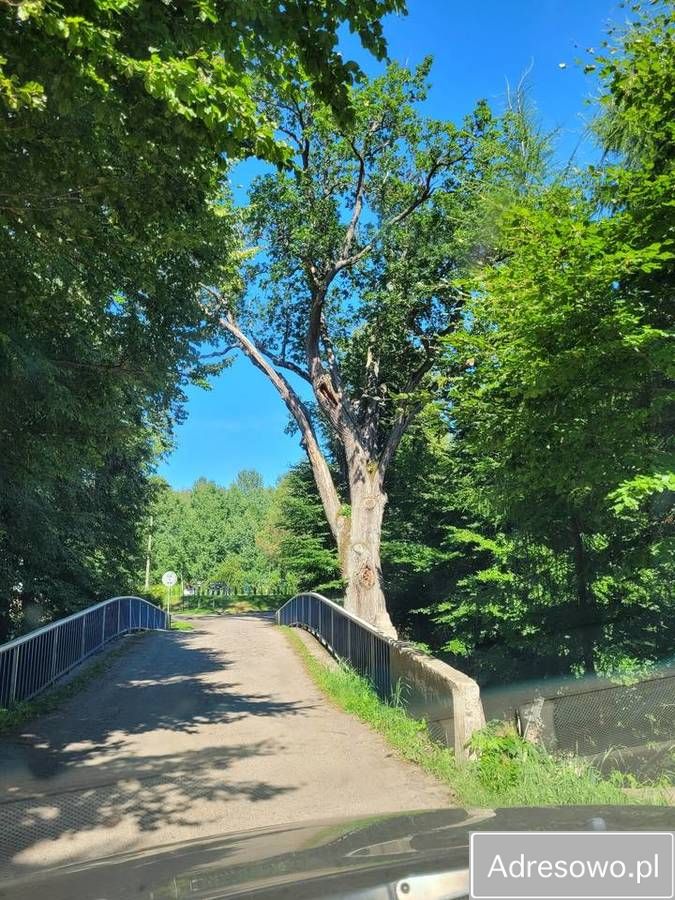 Działka inna Liksajny. Zdjęcie 7