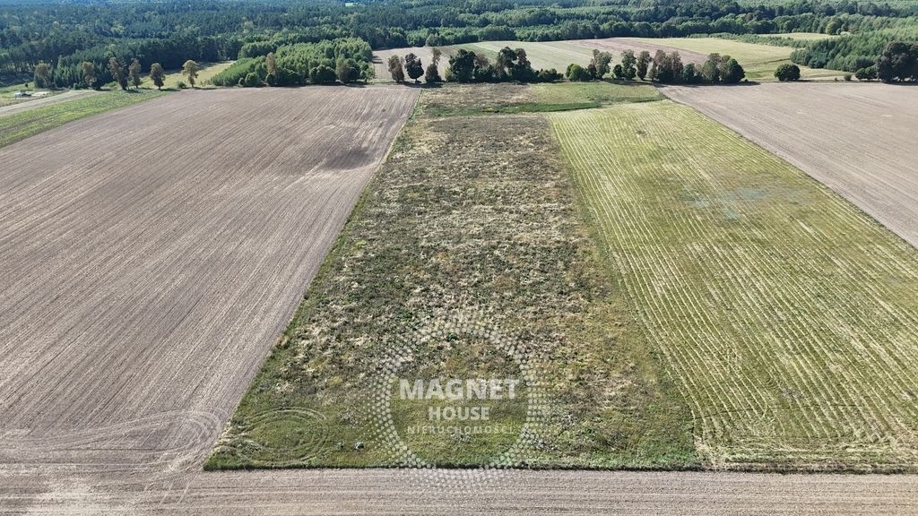 Działka rolna Rutwica. Zdjęcie 7