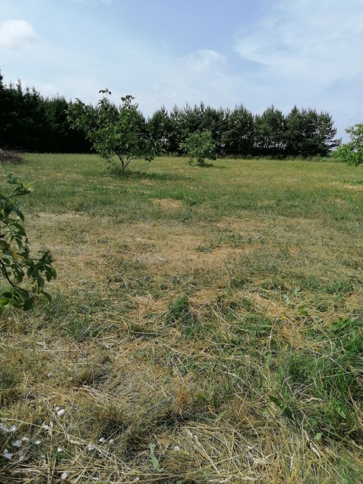 Działka rolno-budowlana Modła. Zdjęcie 6