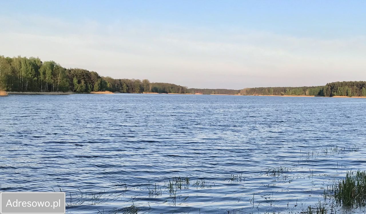 Działka rod Bugaj. Zdjęcie 10