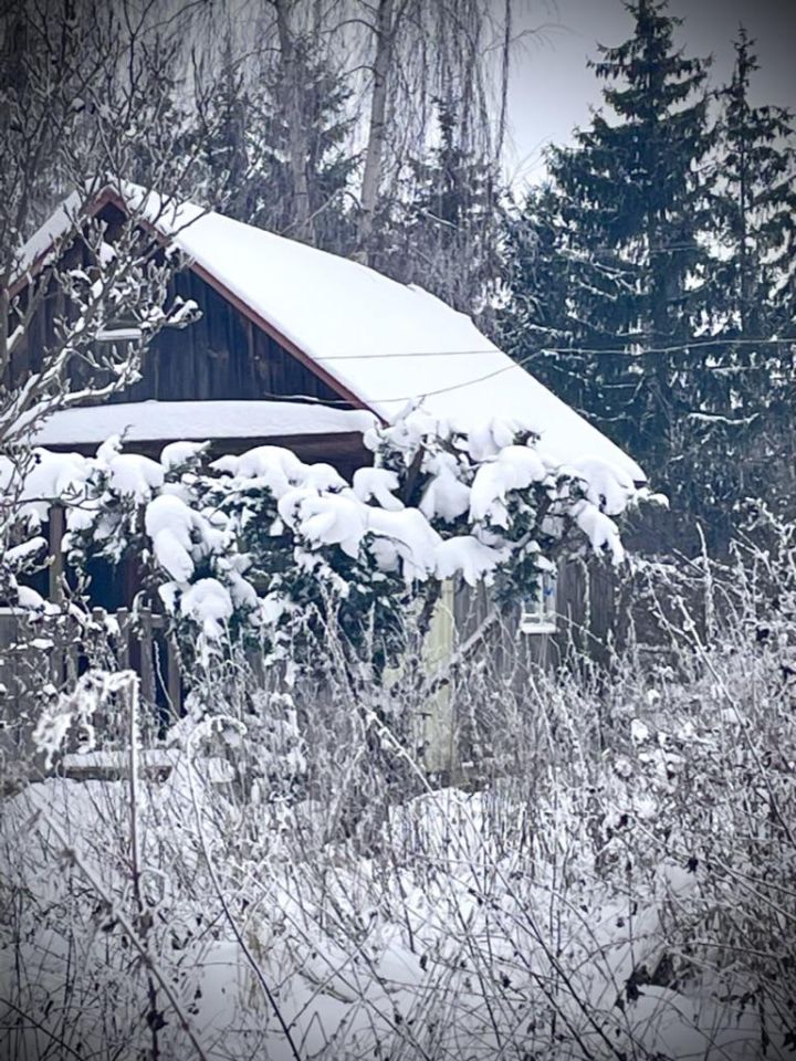 siedlisko, 4 pokoje Radzików-Oczki. Zdjęcie 25