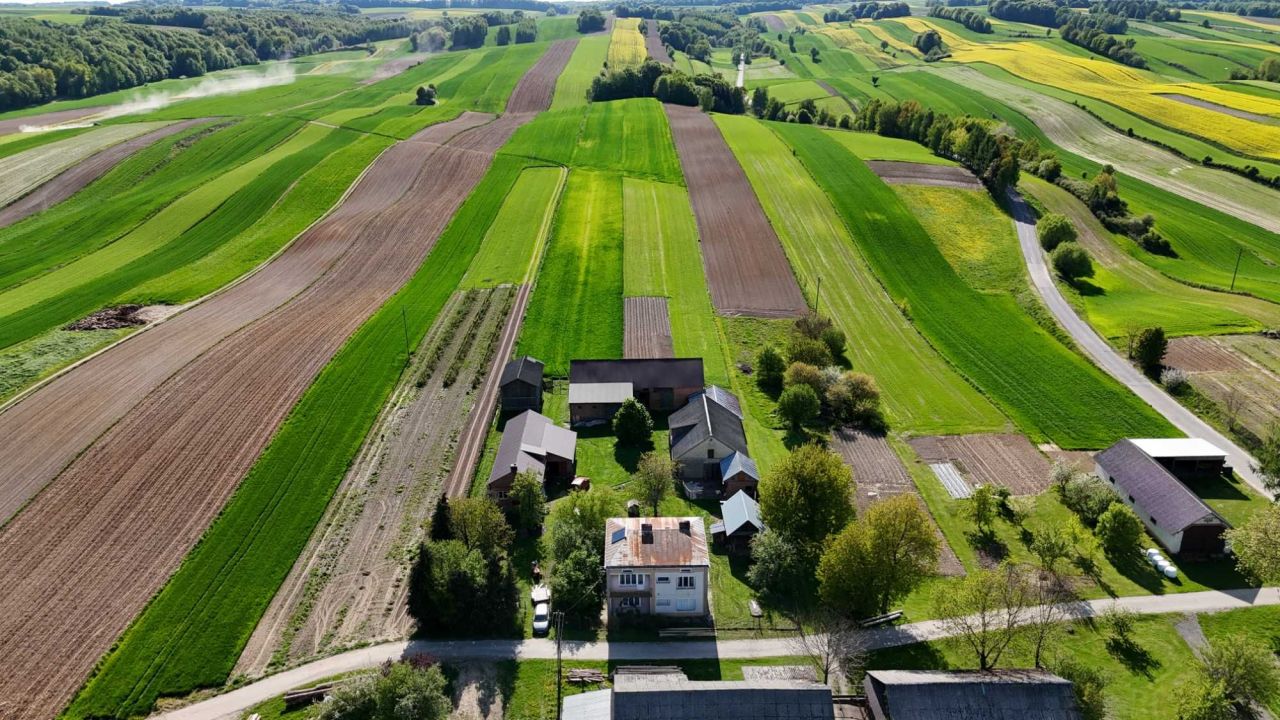 gospodarstwo Batorz Batorz Pierwszy. Zdjęcie 8