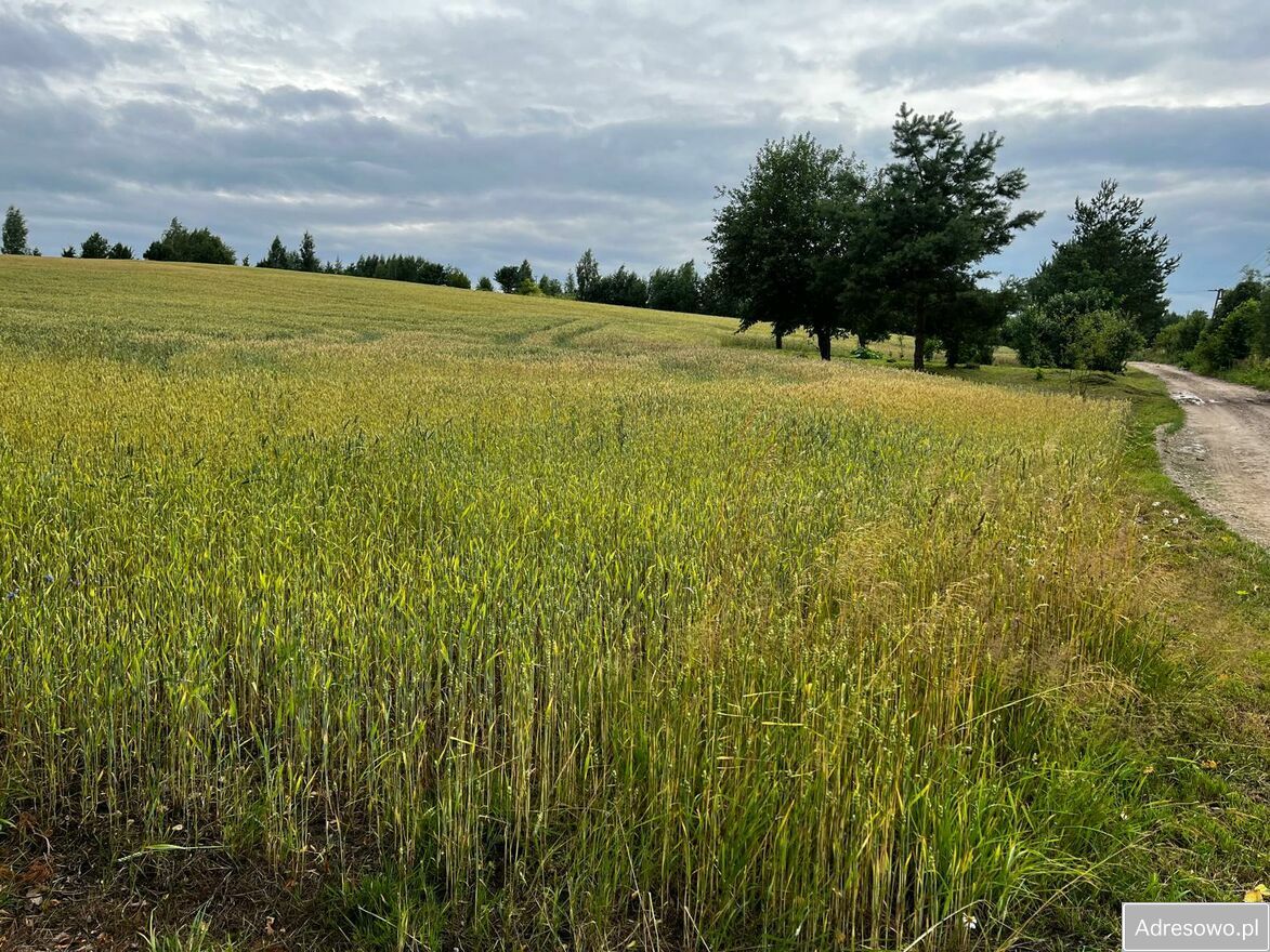 Działka rolna Wilkiejmy. Zdjęcie 6