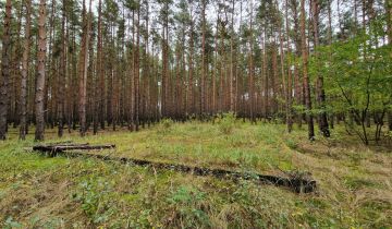 Działka Miastko, ul. Klonowa