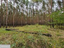 Działka Miastko, ul. Klonowa. Zdjęcie 1