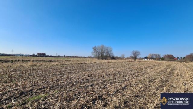 Działka budowlana Zamość Majdan. Zdjęcie 3