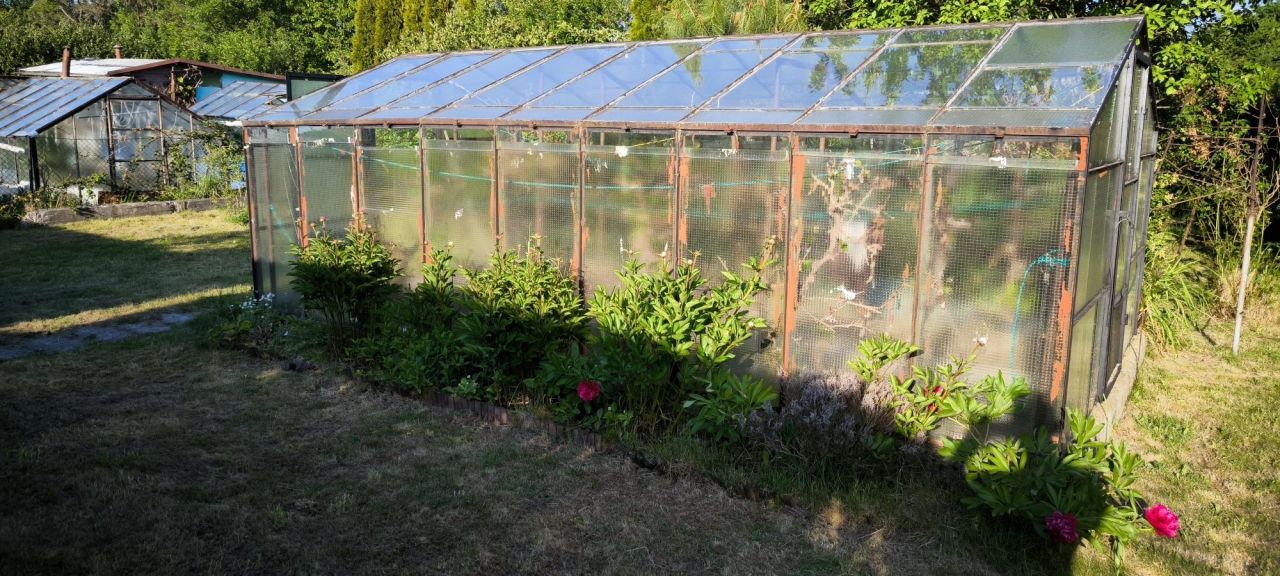 Działka rod Wałbrzych Podzamcze. Zdjęcie 8