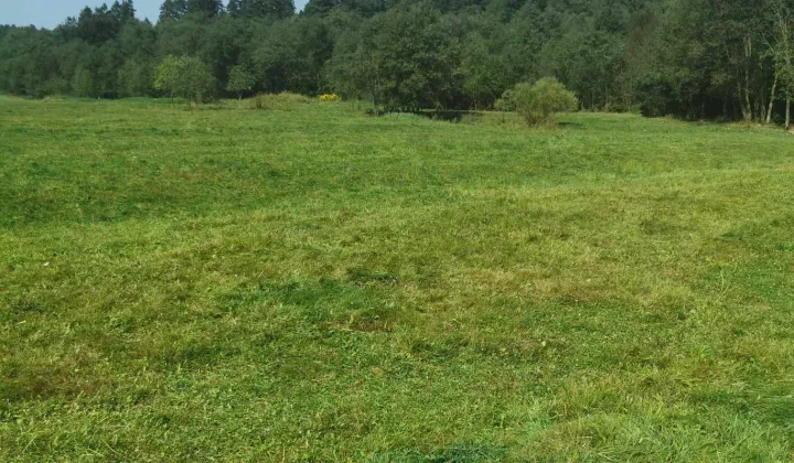 Działka rolna Lipnica Wielka Kudziowa Wyżnia