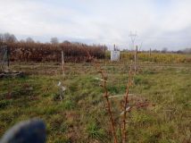 Działka budowlana Wilczopole-Kolonia. Zdjęcie 2